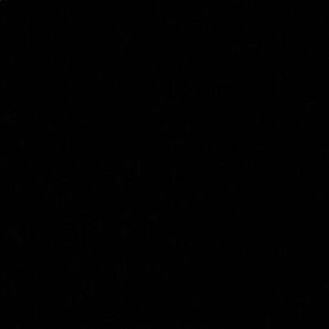 Meet your Posher, Avi